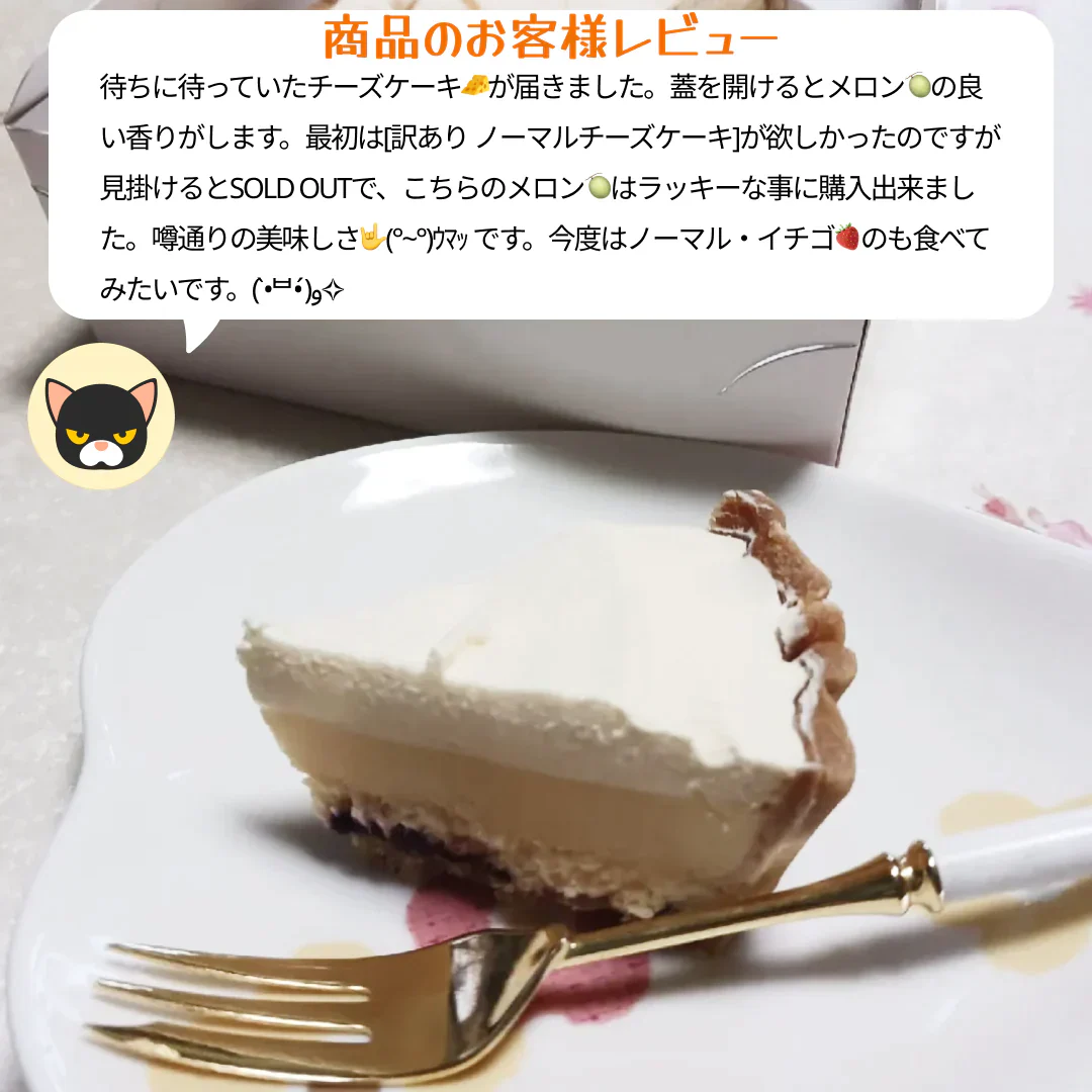 【訳あり】ふらの雪どけチーズケーキ [北海道メロン] 送料無料