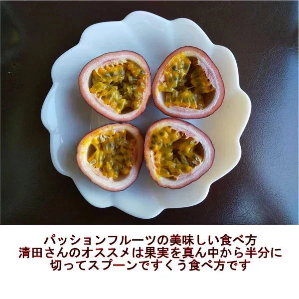 【熊本産】パッションフルーツ 約1kg（約9～15玉）清田さんのパッションフルーツ 60サイズ