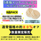 【ベージュ】数量限定訳ありインナーソックス5足10枚セット　靴下 レディース 5本指 ソックス 薄手