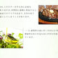 ＤＨＡ＋ＥＰＡ オメガ3系α-リノレン酸 亜麻仁油 《約6ヶ月分》 ※6/26 10時より約5ヶ月分から約6ヶ月分に内容を変更しております。