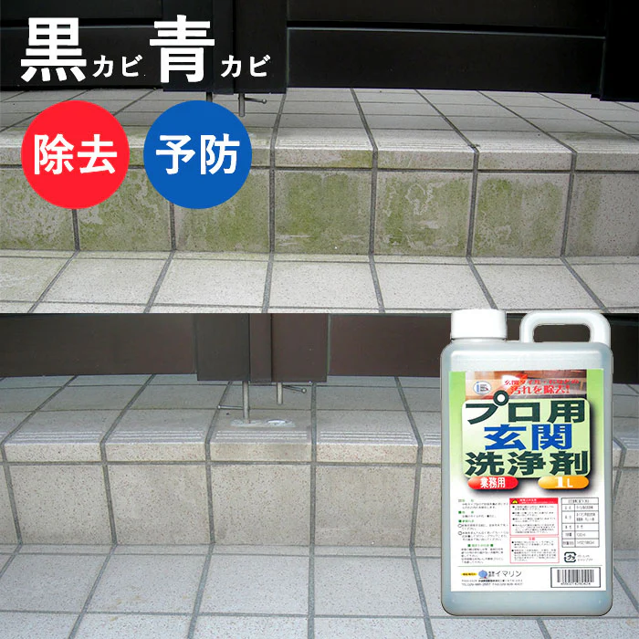 【プロ用だから効果抜群】カビ防止 カビ取り プロ用玄関洗浄剤 大容量 1000ml 玄関掃除 清掃用具 汚れ除去 カビ除去 防カビ 洗剤 玄関 墓石 タイル 大掃除