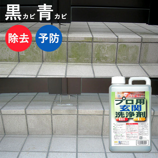 【プロ用だから効果抜群】カビ防止 カビ取り プロ用玄関洗浄剤 大容量 1000ml 玄関掃除 清掃用具 汚れ除去 カビ除去 防カビ 洗剤 玄関 墓石 タイル 大掃除