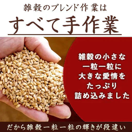 雑穀 雑穀米 国産 栄養満点23穀米 800g(400g×2袋) 無添加 無着色 定番サイズ  送料無料 ポスト投函