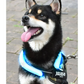 【ペットの暑さ対策】＼2本 Sサイズ 色がランダム出荷／ネッククーラー 犬用 冷感リング ひんやりリング 軽量タイプ ネッククーラアイス クールリング クールネック 犬散歩 子犬 暑さ対策 電気不要 夏用品 ペット用 繰り返し使用 物理降温 犬冷却 冷感 ひんやりグッズ ペット用品