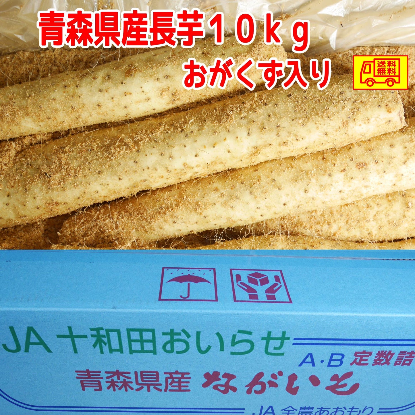 青森県産　長芋　家庭用　M-４L　１０ｋｇ　洗浄済み　おがくず入り 全国送料無料！