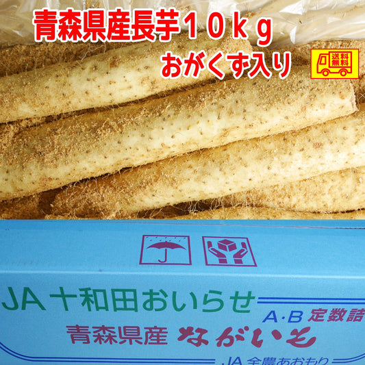 青森県産　長芋　家庭用　M-４L　１０ｋｇ　洗浄済み　おがくず入り 全国送料無料！