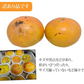 【10月下旬～11月上旬頃より順次出荷】太秋柿 柿 訳あり 送料無料 約3kg 熊本・福岡県産 お取り寄せ フルーツ 太秋 たいしゅうがき 甘柿 かき カキ