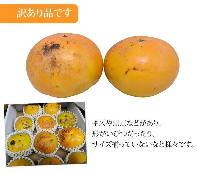 【10月下旬～11月上旬頃より順次出荷】太秋柿 柿 訳あり 送料無料 約3kg 熊本・福岡県産 お取り寄せ フルーツ 太秋 たいしゅうがき 甘柿 かき カキ