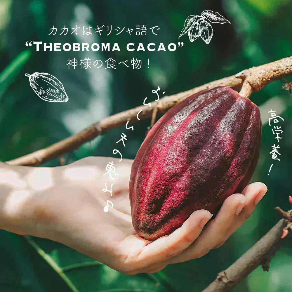 [ナチュラル]ココアパウダー 【2袋】1kg(500g×2袋) ココア 砂糖不使用 無添加 香料不使用 カカオ 大容量 お徳用 製菓 製パン お菓子作り 純ココア
