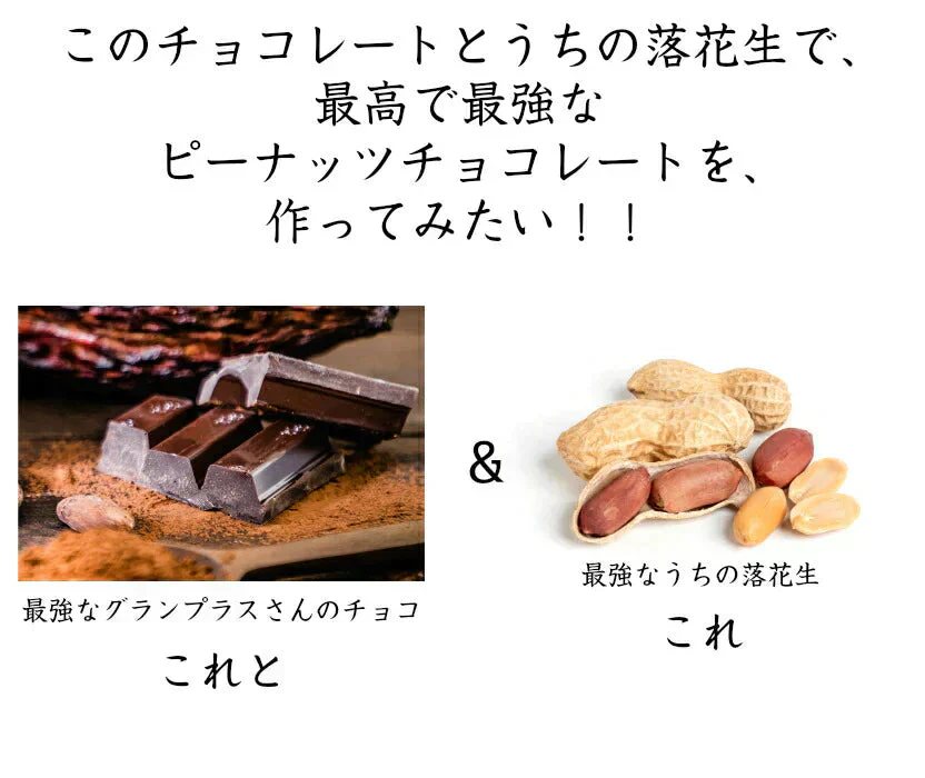 ベルギー産最高級チョコレートで作ったピーナッツショコラ 170g　千葉県産落花生