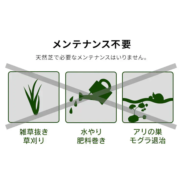 【カートアップNG】アイリスオーヤマ 人工芝 1m×2m 芝丈3cm 防カビ仕様 ベランダ 庭 ふかふかな質感と本
