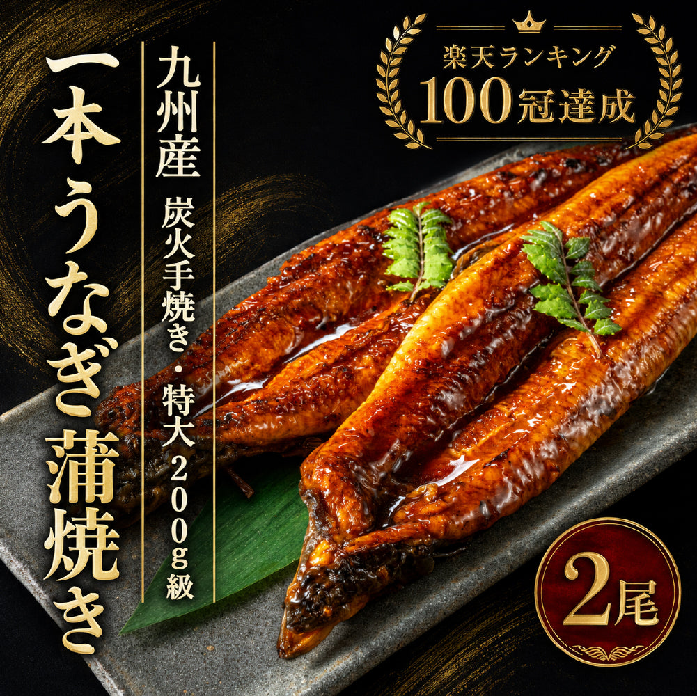 先着100名様限定！＼煮穴子200gプレゼント中／父の日 うなぎ 2尾 特大一本うなぎ蒲焼き 30cm×200g超 国産うなぎ 特大国産うなぎ 2尾 市場直送 母の日 中元 土用の丑の日 鰻 関西焼き 高評価 国産 特大 うなぎ蒲焼き 関西焼き 特大サイズ ウナギ 国産鰻 特大 蒲焼 夏ギフト