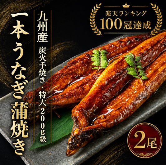 先着100名様限定！＼煮穴子200gプレゼント中／父の日 うなぎ 2尾 特大一本うなぎ蒲焼き 30cm×200g超 国産うなぎ 特大国産うなぎ 2尾 市場直送 母の日 中元 土用の丑の日 鰻 関西焼き 高評価 国産 特大 うなぎ蒲焼き 関西焼き 特大サイズ ウナギ 国産鰻 特大 蒲焼 夏ギフト