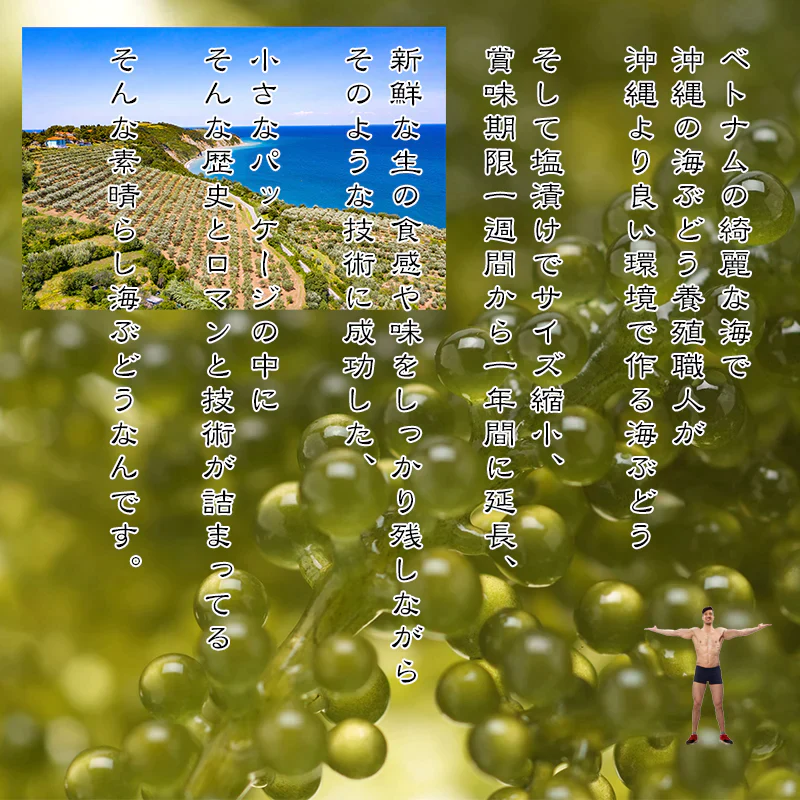 海ぶどう 5倍に膨らむ大容量 x10パック 20袋