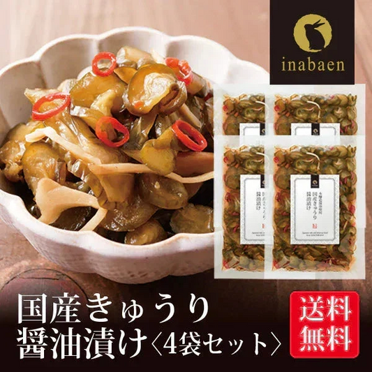 【4個セット】日本橋いなば園 国産きゅうり醤油漬け 100g メール便送料無料