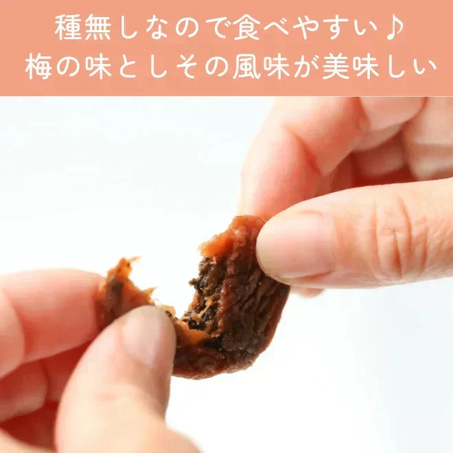 【種なし】梅干し 個包装 赤しそ入り 塩分補給 90g ／しそ梅ちゃん うめぼし 干し梅 梅菓子 お菓子 おやつ おかし 梅 梅干 持ち運び お茶うけ お茶 非常食 子供 大人 熱中症対策 種無し干し梅