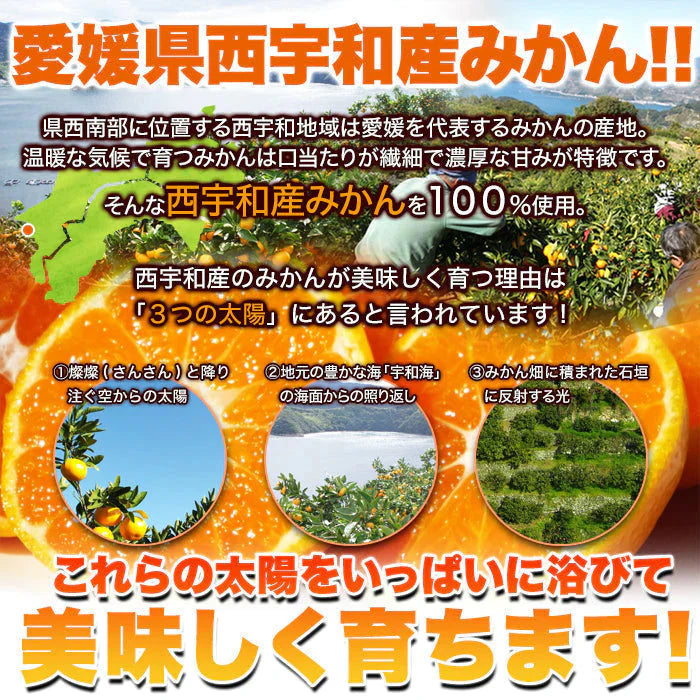 皮むき不要で食べやすくシャリっと美味しい!!【訳アリ】皮むき冷凍みかん500g 冷凍A