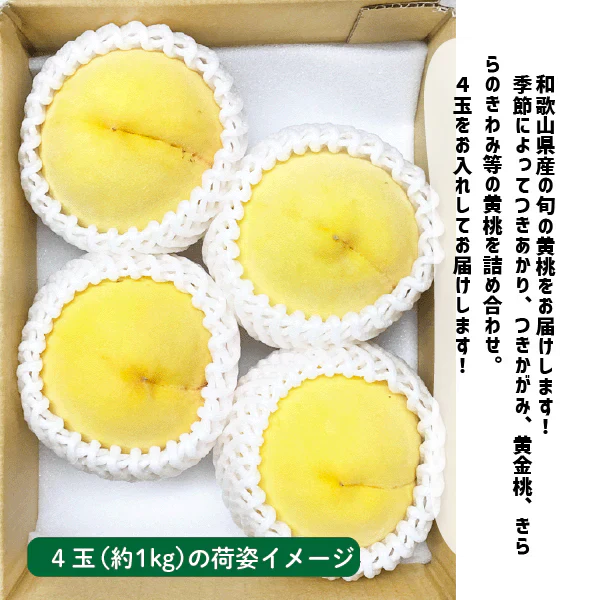 黄桃 4玉 数量限定 ギフト 贈答用 和歌山県産 きららのきわみ つきかがみ 黄金桃 つきあかり 桃