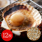 北海道産 帆立片貝 12枚(75g×12) 貝類 ホタテ【送料込み】【二重包装不可】【お届け不可地域：離島】
