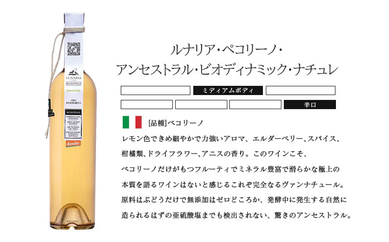 【送料無料】 自然派 ナチュール オレンジワインセット第1弾[750ml×6本]【北海道・東北・四国・九州・沖縄県は必ず送料がかかります】