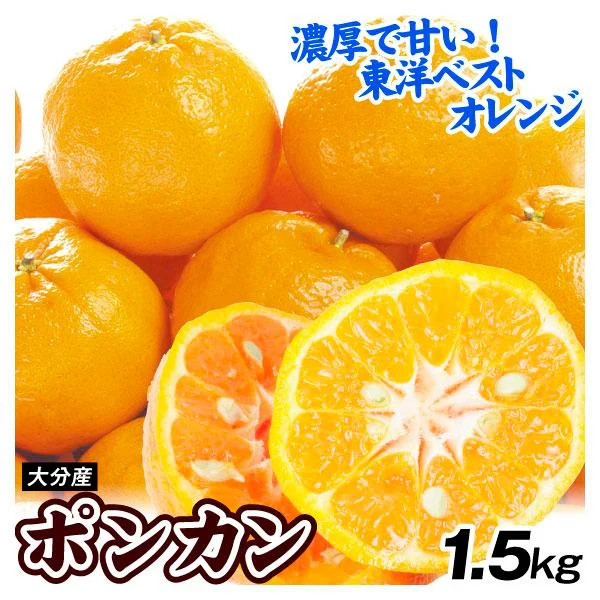 みかん　大分産　ポンカン　1.5kg　ご家庭用（発送予定：2025年1月下旬より）