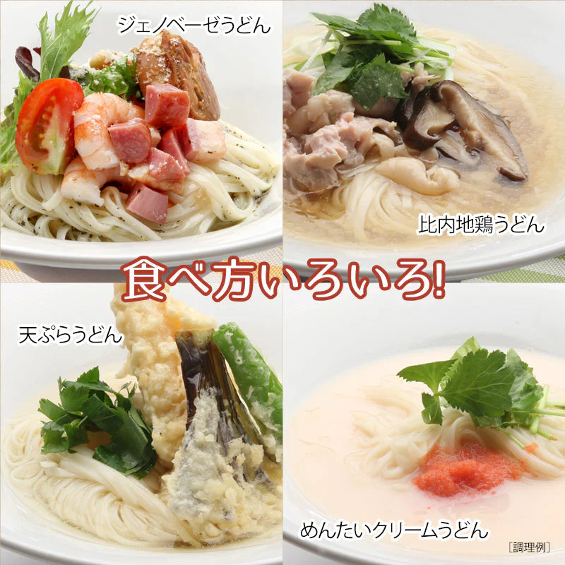 無限堂×安藤醸造 稲庭うどん「稲庭饂飩つゆ」付き詰め合わせ(10人前)