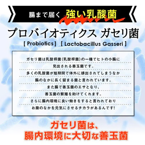 ガセリ菌プレミアム ブラック 約3ヶ月分 90粒 ガセリ菌 乳酸菌 善玉菌 活性炭 チャコール 炭 炭活 菌活 腸活 黒にんにく 黒タマネギ ブラックジンジャー L-カルニチン プロバイオティクス ヨーグルトより手軽 健康 美容 サプリ Royal BS 送料無料 業務用 大容量 サプリメント 日本製