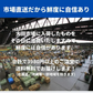 訳あり国産松茸 市場直送でお届け たっぷり堪能できる約200g入り