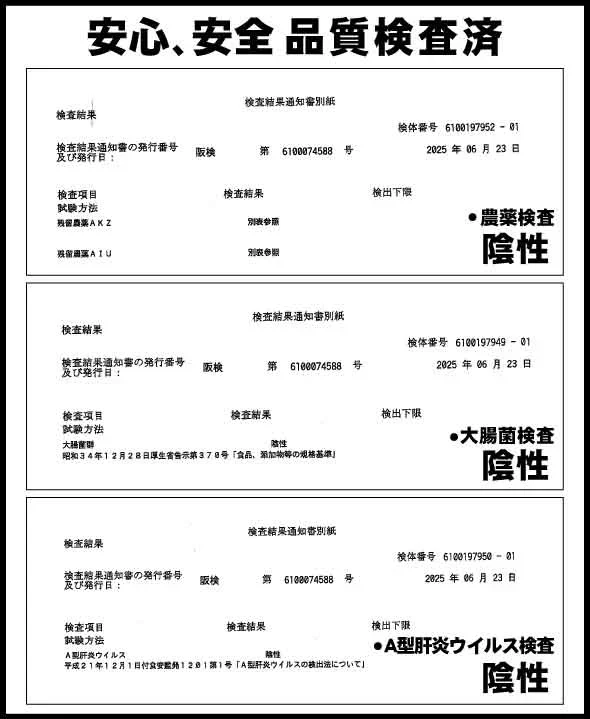 マンゴー 冷凍 完熟 カット済み 10kg （500g×20袋） 無添加 砂糖不使用 ベトナム産 大量 冷凍マンゴー