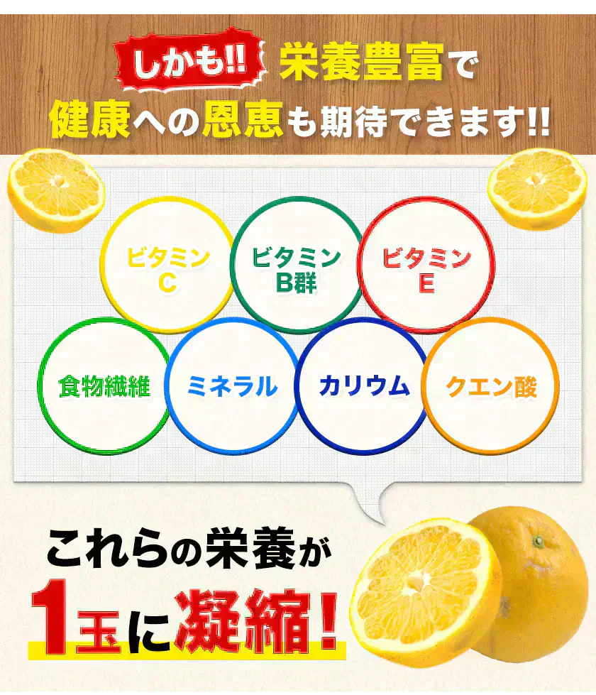 河内晩柑 5kg 送料無料 和製 グレープフルーツ フルーツ 果物 みかん 訳あり 夏文旦 晩柑 ジューシーみかん 熊本県産 《1-5営業日以内に発送予定》