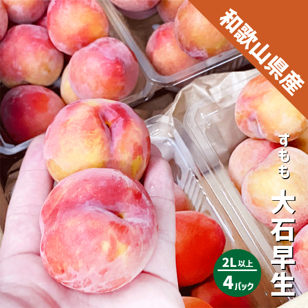 和歌山県産 すもも 大石早生 約２kg (約500g×4パック ) 2Lサイズ以上 2L 3L プラム スモモ