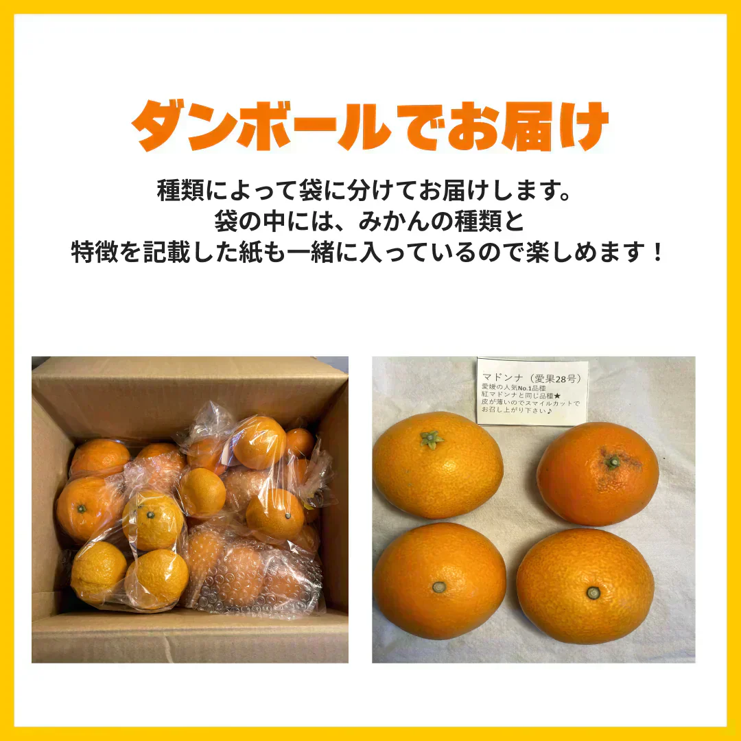 【発送は１月末からスタート】3種以上！愛媛のみかん食べ比べセット！5kg高級みかんが入るかも！?【福袋】