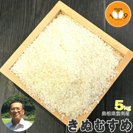 米 島根県雲南産 きぬむすめ 白米 5kg 令和7年産 石原公夫