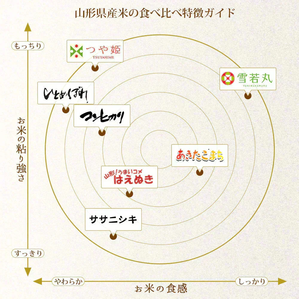 はえぬき 無洗米 20kg (5kg×4袋) 山形県産 令和7年産 送料無料 米 20キロ こめ コメ お米 精米 新米 お米20kg はえぬき20kg はえぬき20キロ