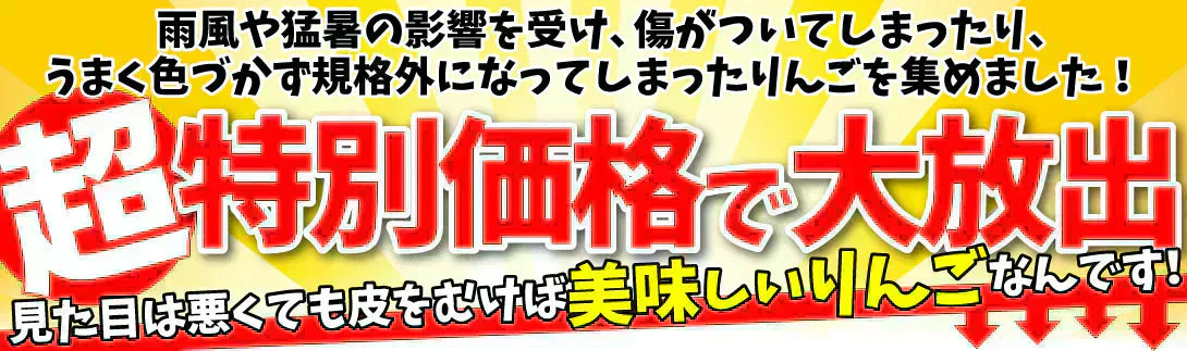 りんご 加工用 青森産 10kg