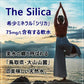【ご新規さんとシェア買い】【全国配送対応】【1ケース】【送料無料】  国産 シリカ 天然水 The Silica 500ml 24本
