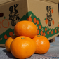 ミカン５ｋｇ