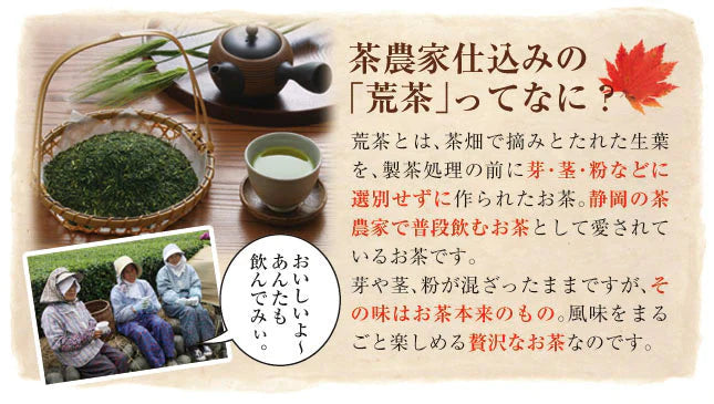 【2個セット】日本橋いなば園 静岡深蒸し茶 荒茶づくり 100g ネコポス メール便送料無料