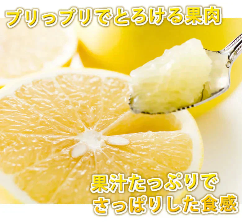 河内晩柑 みかん 送料無料 訳あり 5kg 箱込 (内容量4kg+不良果補償分500g)  S～3L お取り寄せ 和製グレープフルーツ 晩柑 熊本県産 美生柑 フルーツ