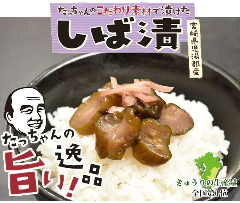 しば漬 漬物 きざみきゅうり漬け 600g（150g×4袋） 送料無料 ポッキリ 宮崎県産 お取り寄せ お取り寄せグルメ きゅうり しそ しょうが なす みょうが つけもの