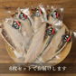 【数量限定 訳あり】大トロさば文化干し(6枚) さば 鯖 干物 文化干し トロ お買い得 セット お手軽 調理 料理 シーフード 海鮮 食品 合わせ買い まとめ買い 商品 通販 惣菜 お取り寄せ グルメ 大人気 人気 おすすめ オススメ