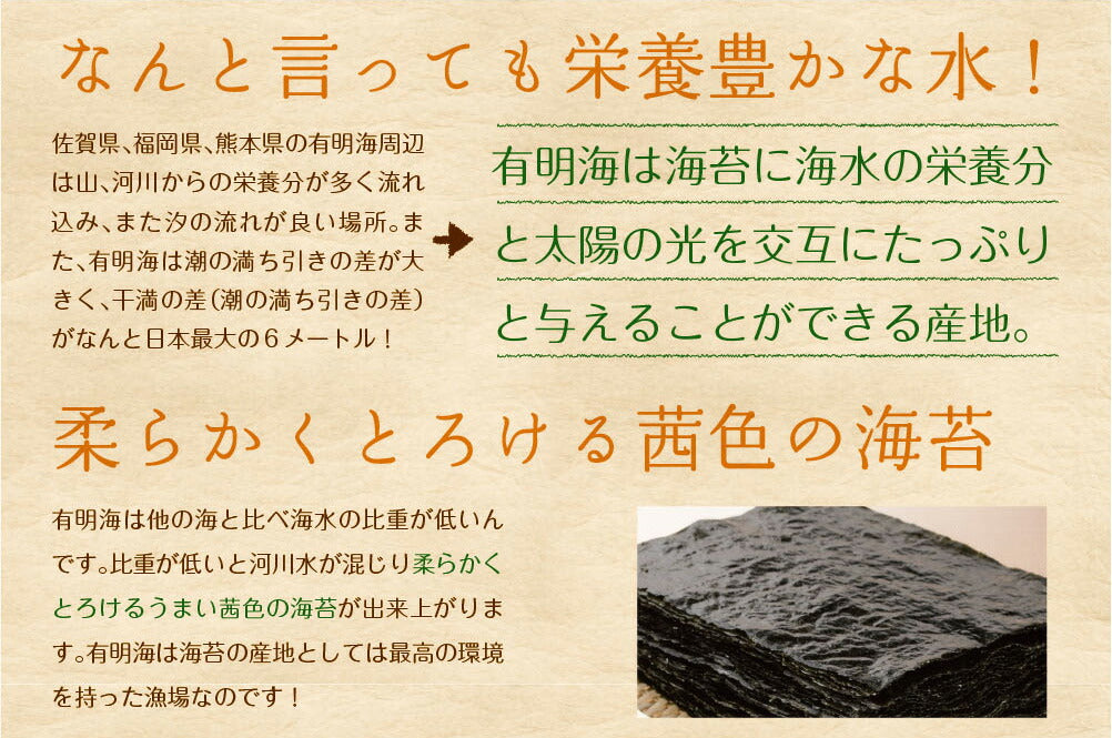 【2個セット】日本橋いなば園 有明海産 きざみ海苔 40g ネコポス メール便送料無料 刻み海苔 ギフト きざみ海苔 きざみのり 寿司 弁当 トッピング 食品 乾物 茶匠庵 葉酸 タウリン