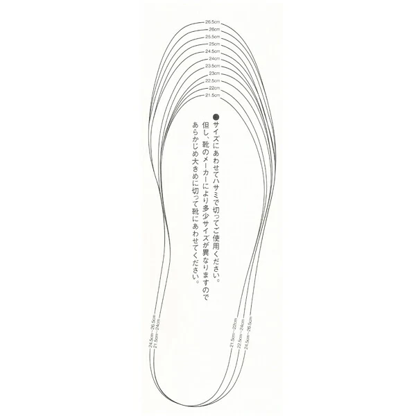【メール便で送料無料】Cosmic Power Insole GENKI EXTRA インソール 靴 中敷き 消臭 吸湿【抗酸化溶液活用製品】サイズフリー（型紙あり 21.5cm〜26.5cm)