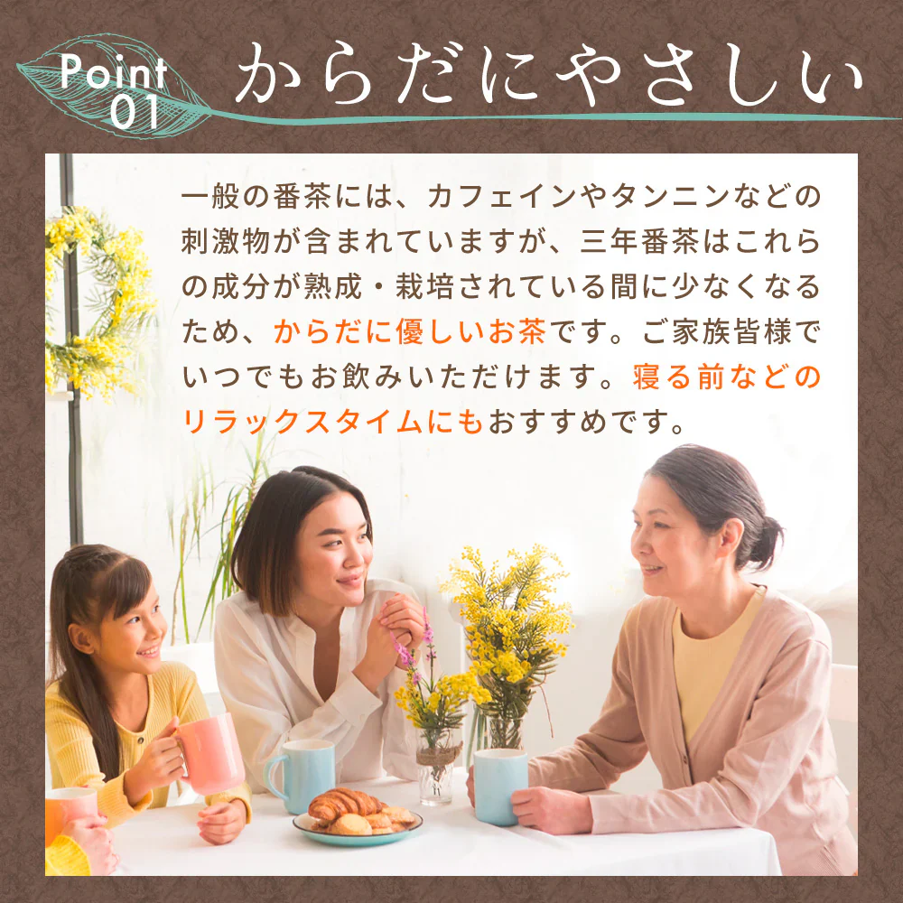 三年番茶 5g×32ｐ みずたま農園製茶場 ノンカフェイン お茶 国産 日本茶 お茶 冷茶 水だし 水出し パック 静岡 静岡茶 牧之原 牧之原茶 ティーパック 送料無料 大容量 メール便 パック