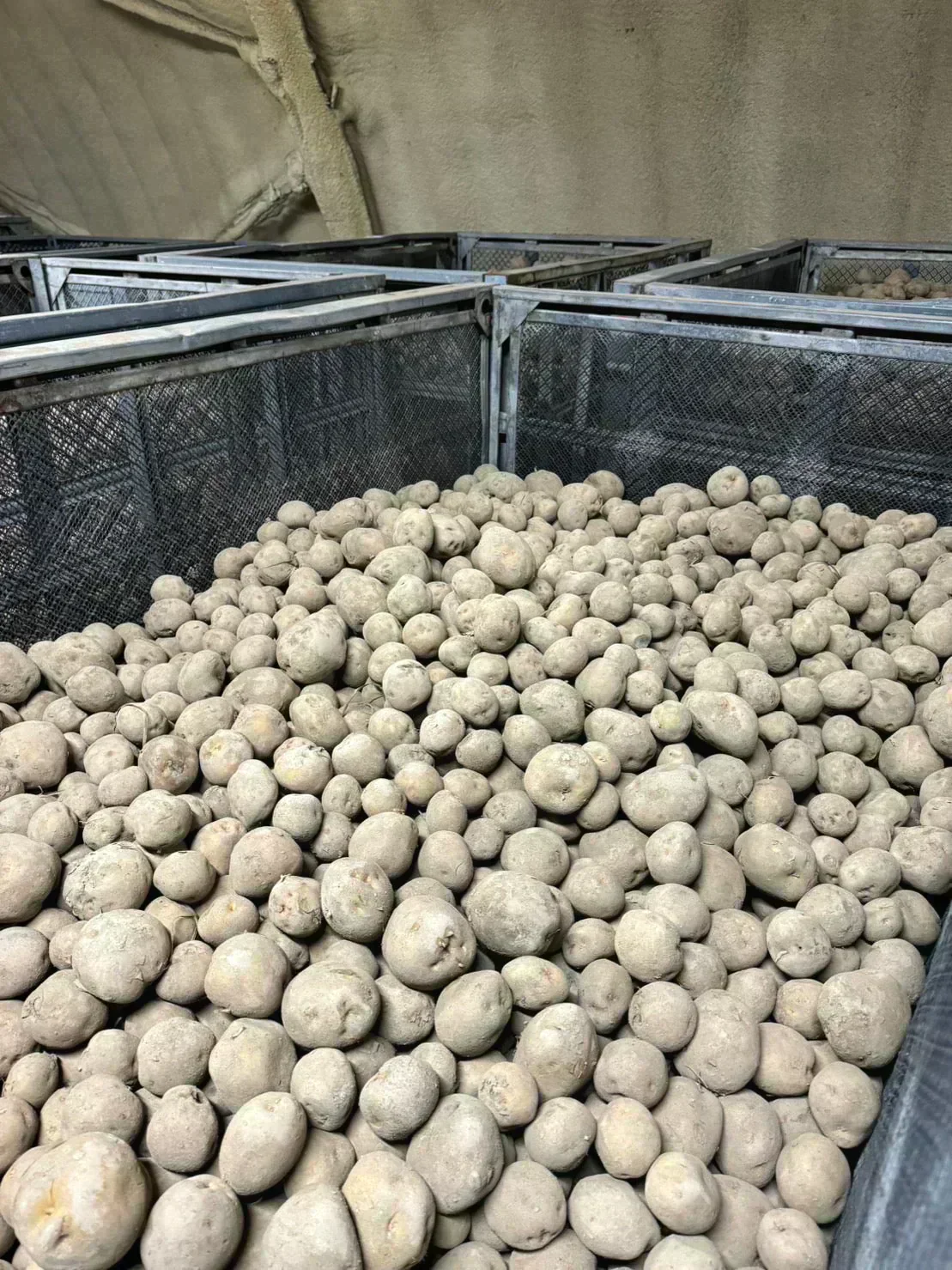 訳あり北海道じゃがいも　5kg