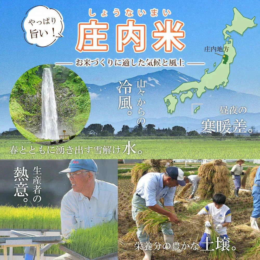 ひとめぼれ 無洗米 20kg (5kg×4袋) 山形県産 令和7年産 送料無料 米 20キロ こめ コメ お米 精米 新米 お米20kg ひとめぼれ20kg ひとめぼれ20キロ