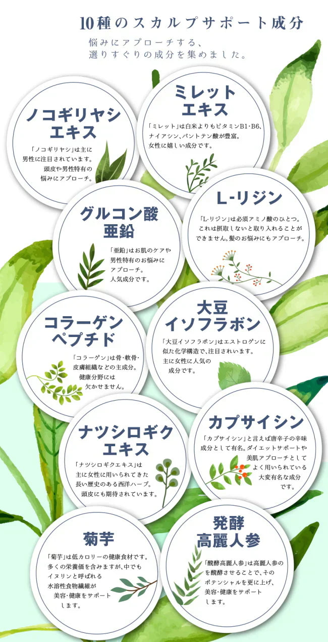 healthylife TrueRush タブレット【頭皮 スカルプケア ヘアケア 美髪 髪の悩み ミレットエキス 亜鉛 コラーゲン大豆イソフラボン 菊芋 高麗人参】180粒 サプリメント 髪の悩み ヘアー 美髪 頭皮 ヘアケアサプリ 艶髪 healthylife TrueRushタブレット ヘアケア ヘアサポートサプリ 美髪応援 健康食品
