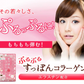 すっぽんコラーゲン《約3ヶ月分》エラスチン入り 美容 サプリ コラーゲン すっぽん エラスチン  ヒアルロン酸 サプリメント ダイエット 中の方にも