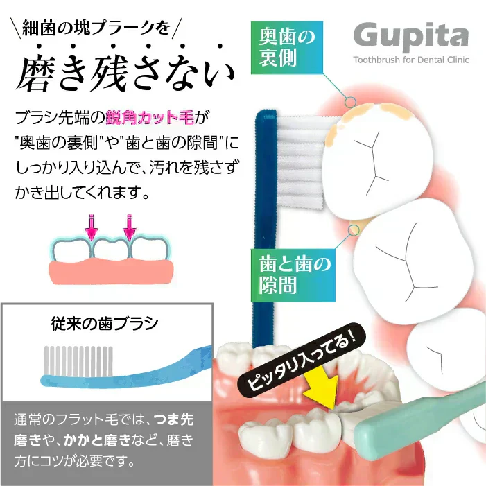 歯科専用歯ブラシ Gupita グピタ (毛のかたさ：Mふつう) 10本セット ／ 理想の歯ブラシ 全5色 個包装 ／ 復興支援商品【メール便送料無料】