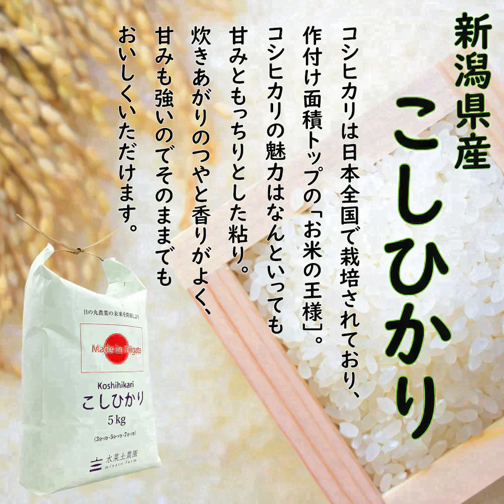【精米セット】秋田県産 あきたこまち 5kg & 新潟県産 こしひかり 5kg 令和5年産【古代米プレゼント付き】